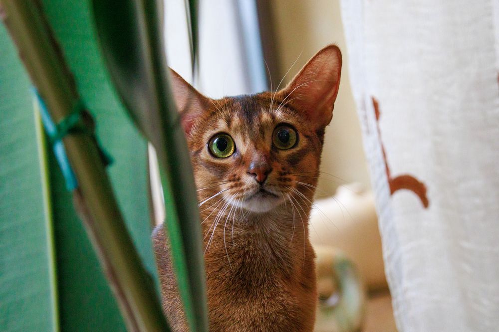 Photograph by Lyudmila Klimanova