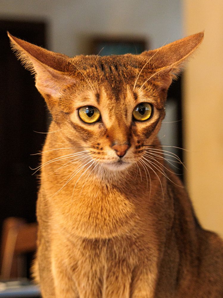 Photograph by Lyudmila Klimanova