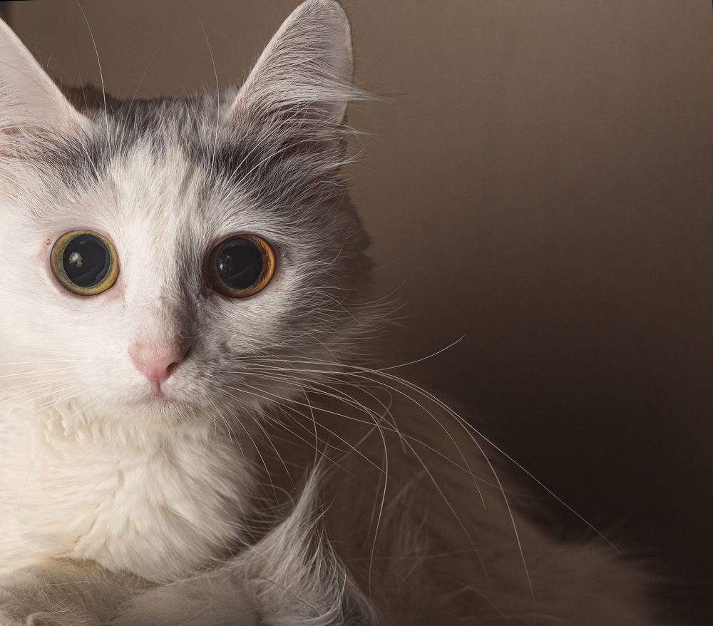 Photograph by Запылаева Анна