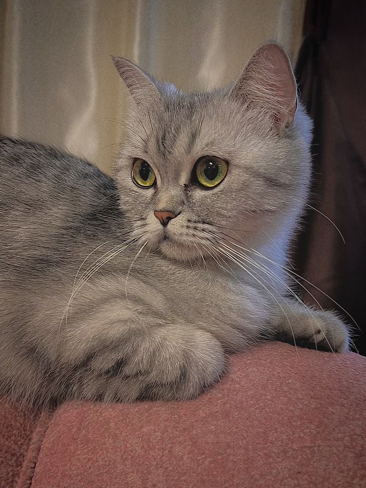 Photograph by Елена Башмакова