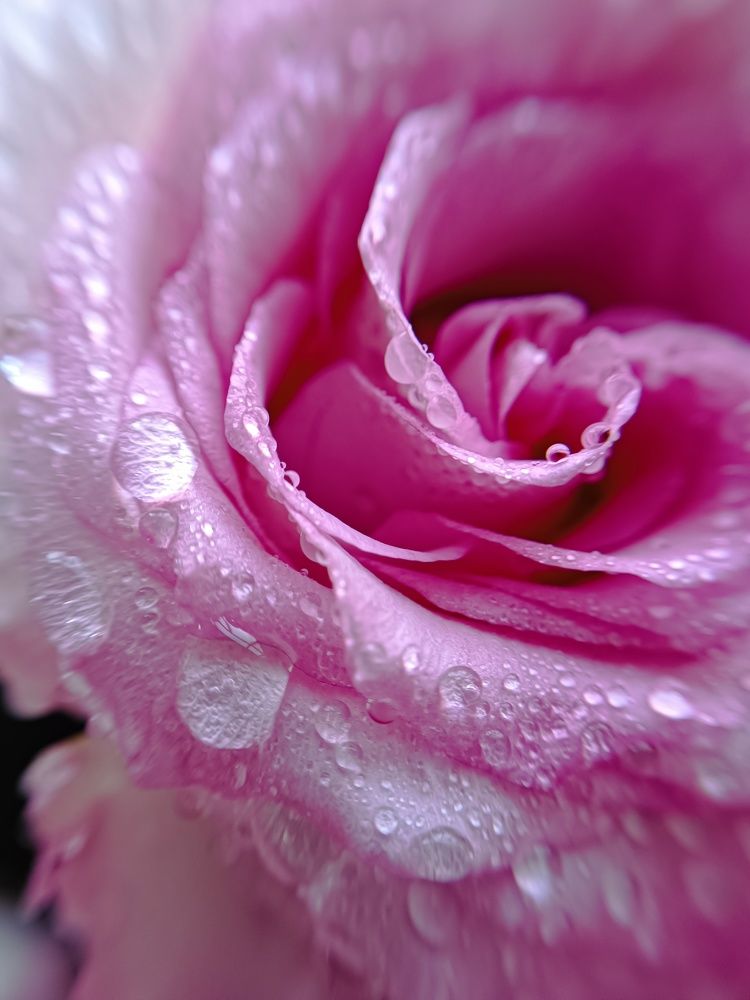 Photograph by Селезнёва Мария