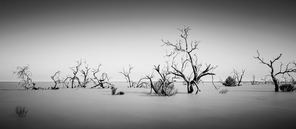 Фотография автора jason lu