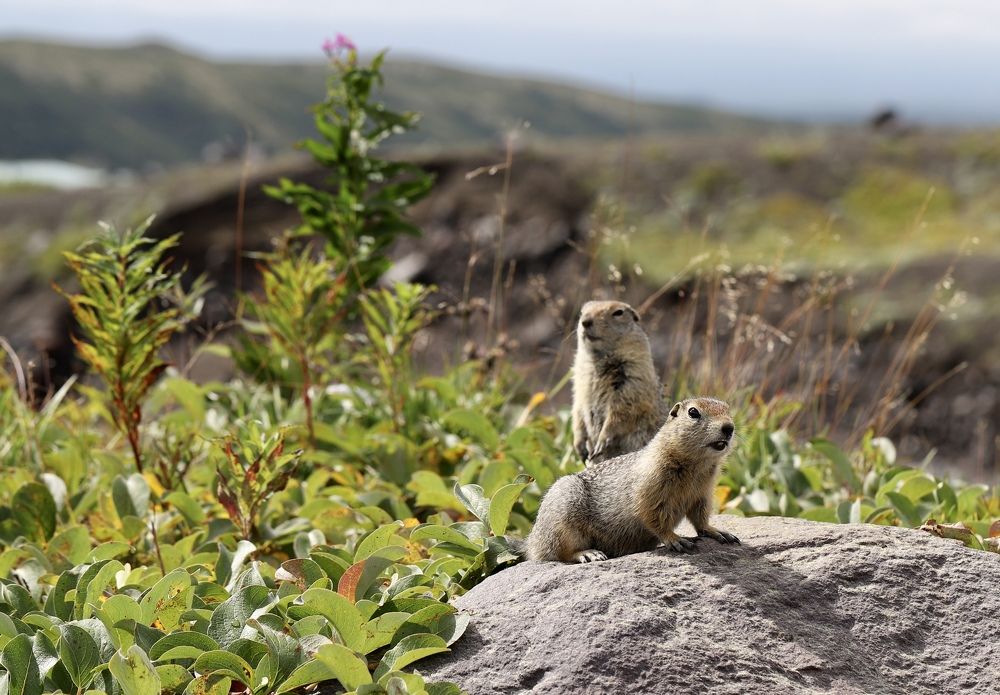 Photograph by Нина Пономаренко