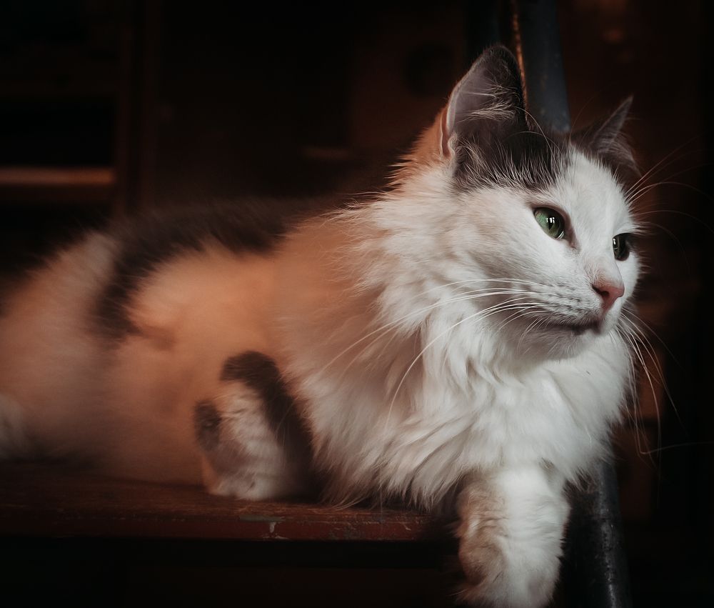 Photograph by Элла Алексеева