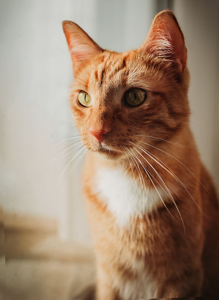 Photograph by Элла Алексеева