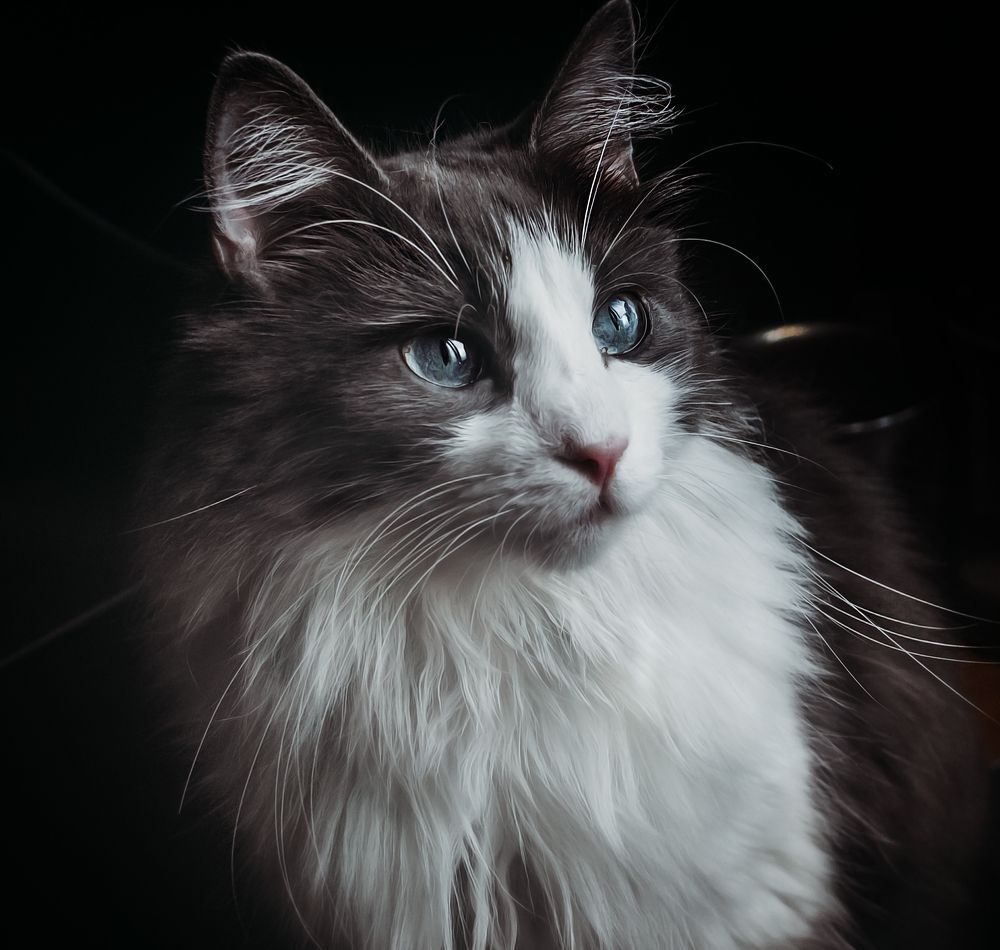 Photograph by Элла Алексеева