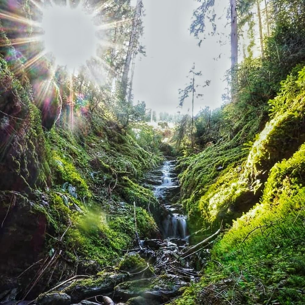 Фотография автора Valenta Jozef