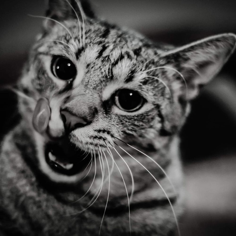 Фотография автора Valenta Jozef