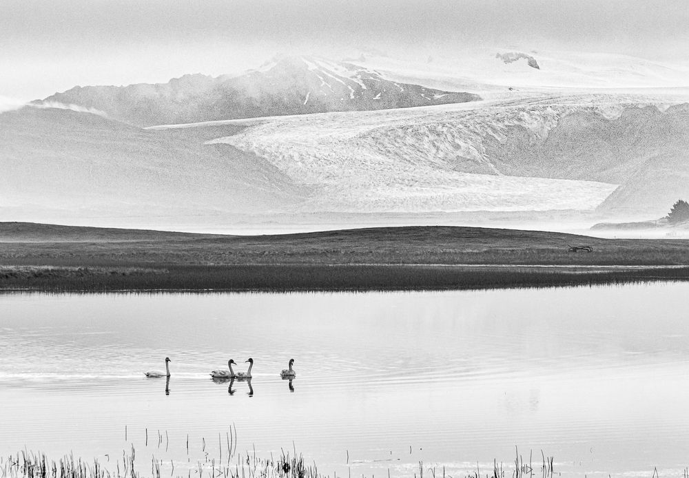 Фотография автора jason lu