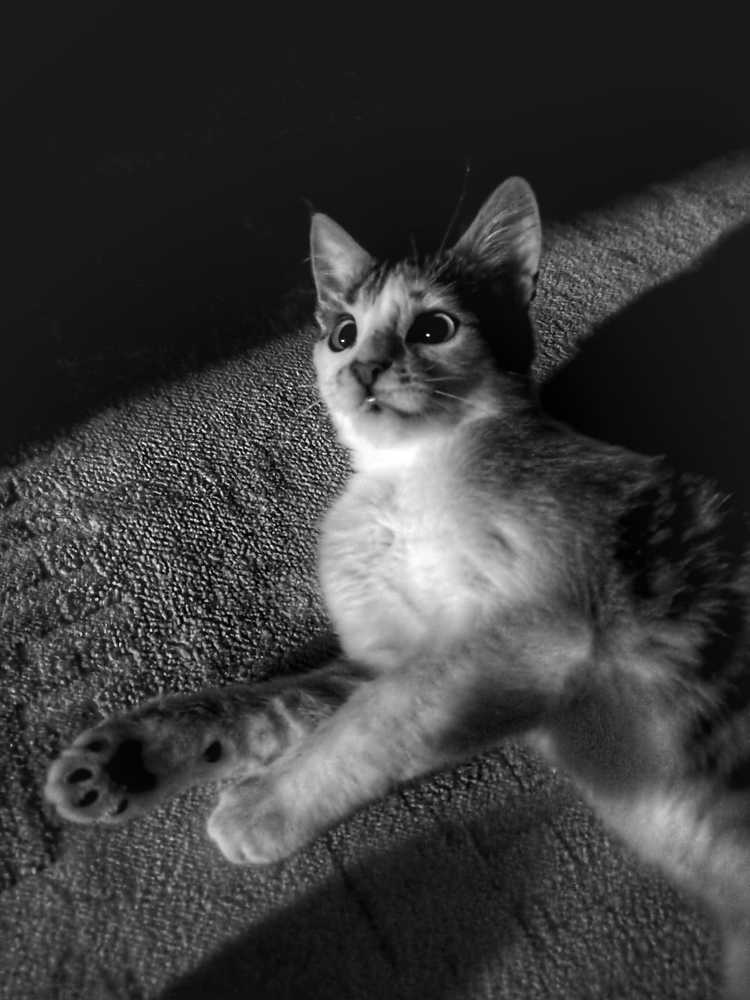 Photograph by Şeyhmus Çakırtaş