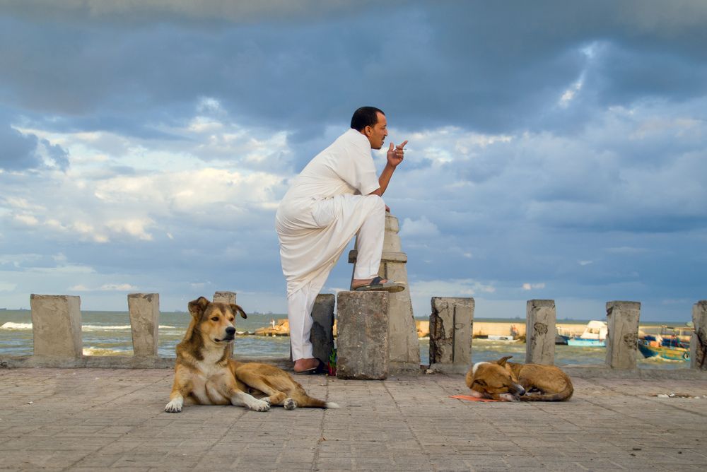 Фотография автора Ahmed Flex