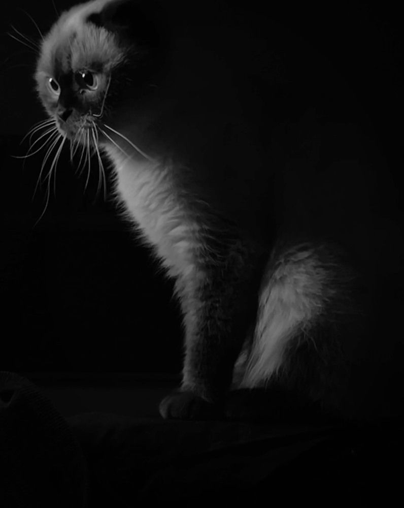 Photograph by Мария Ковригина