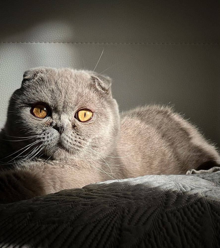 Photograph by Мария Ковригина