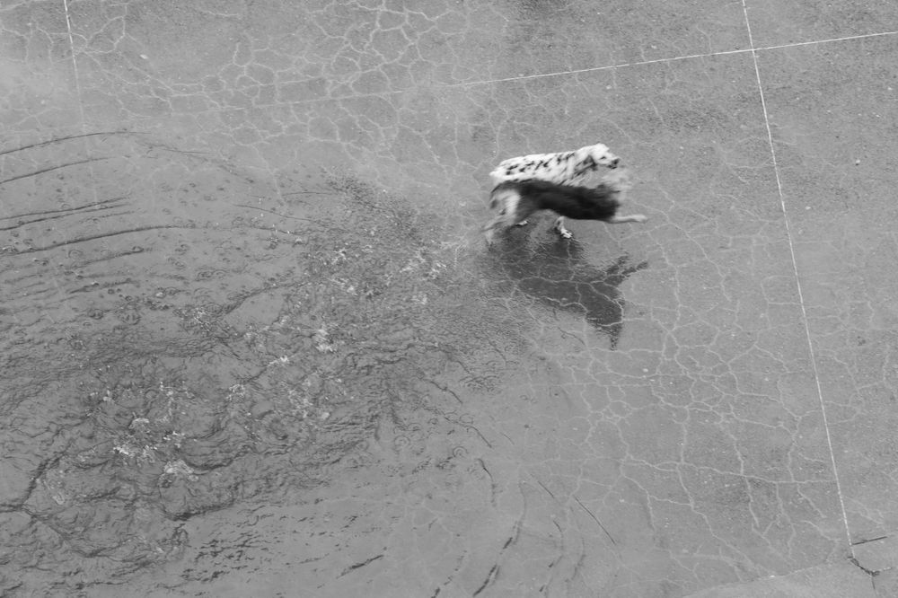 Photograph by Mauricio Bertoni