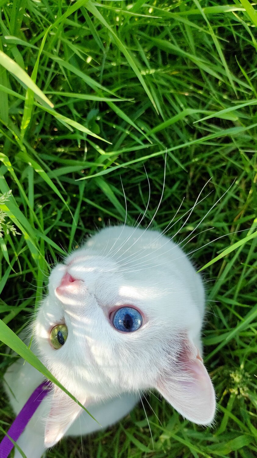 Photo #8773805