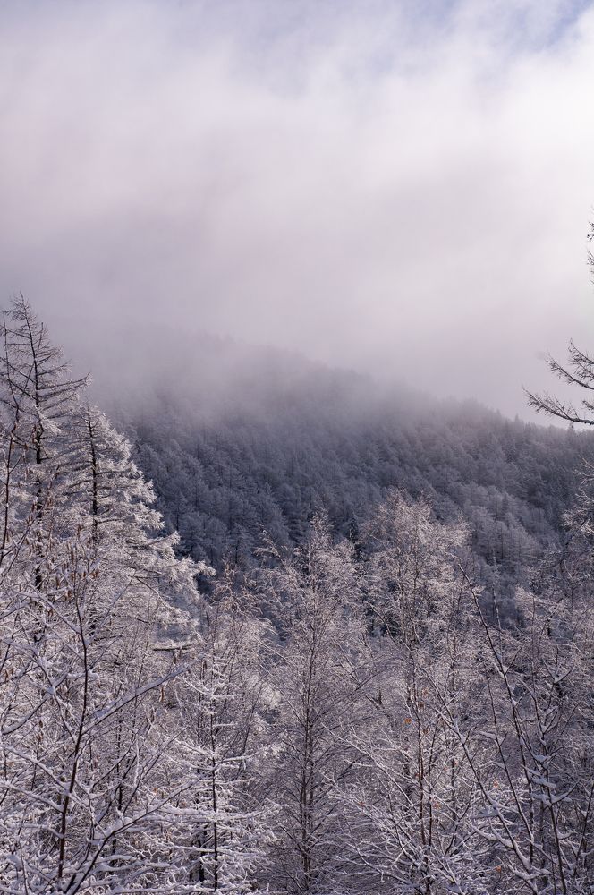 Photograph by Виктор Щебланов