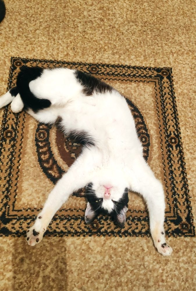 Photograph by Elena Goncharova