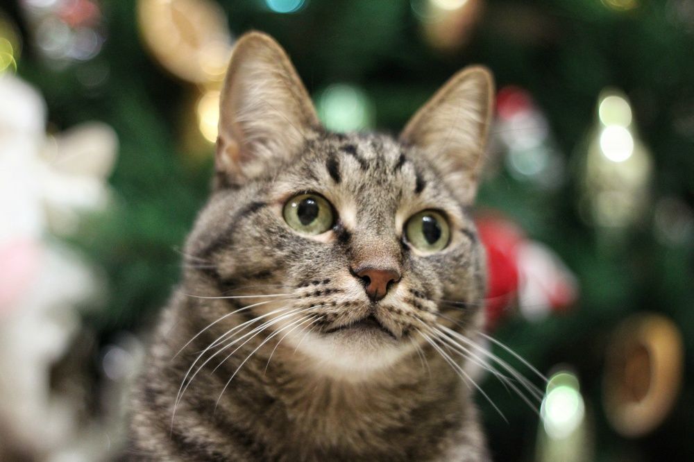 Photograph by  Валентина