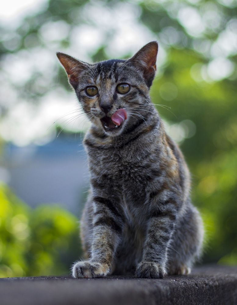 Photograph by Minh Chu Van