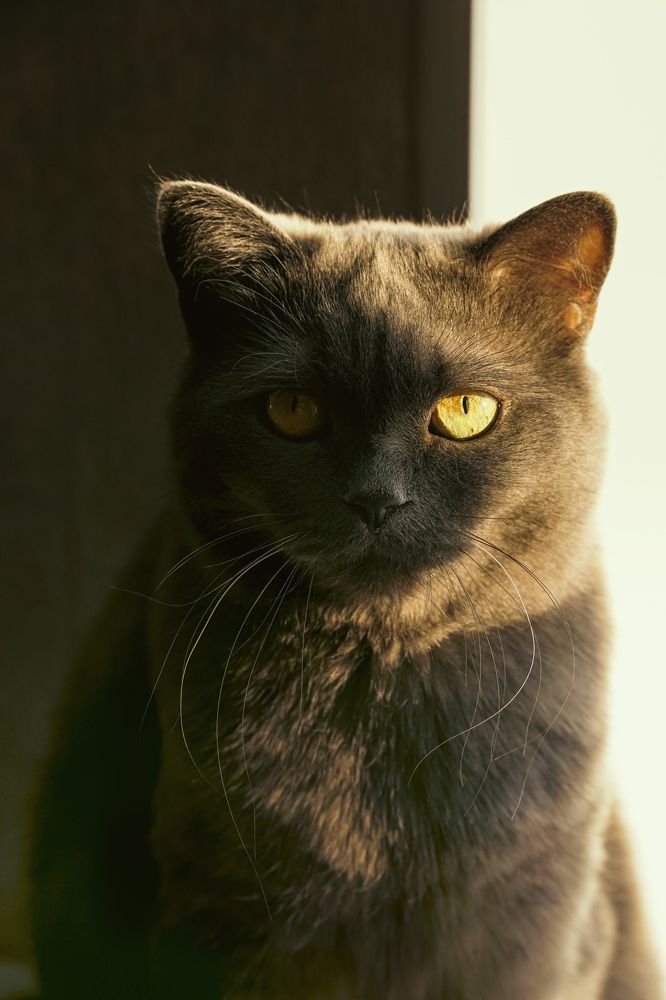 Photograph by Оксана Некрасова