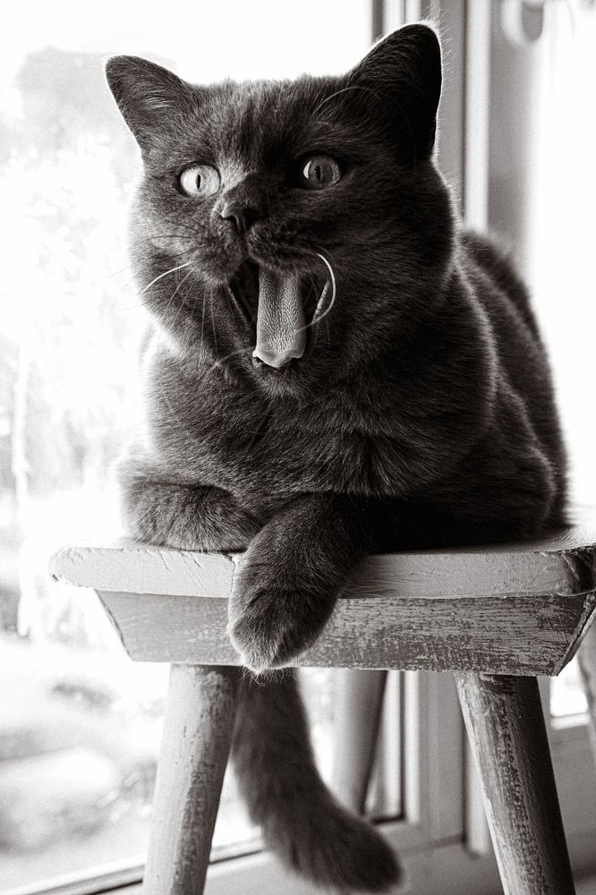 Photograph by Оксана Некрасова