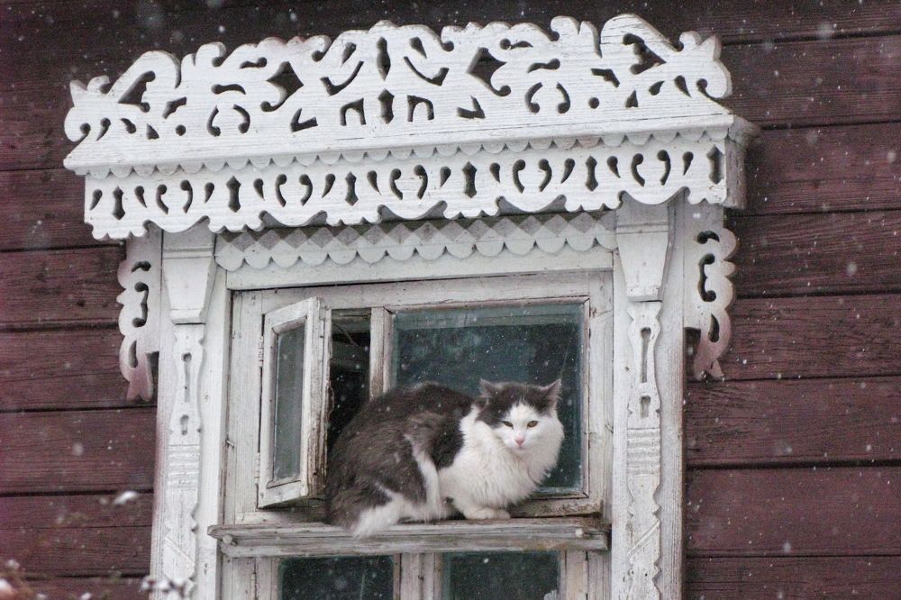 Photograph by Тимофей Петров