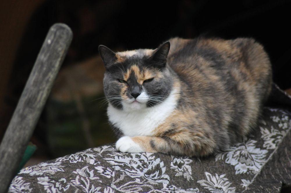 Photograph by Константин