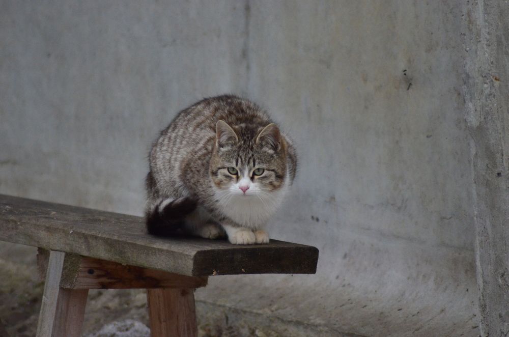 Photograph by Константин