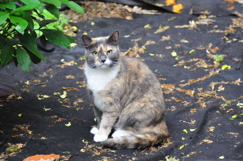 Photograph by Константин