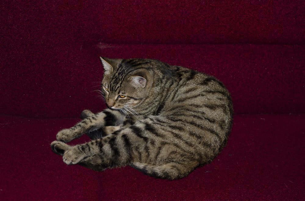 Photograph by Константин