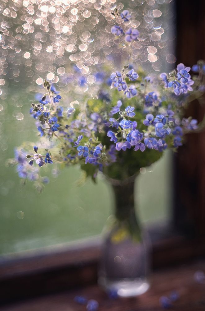 Улетая в лето