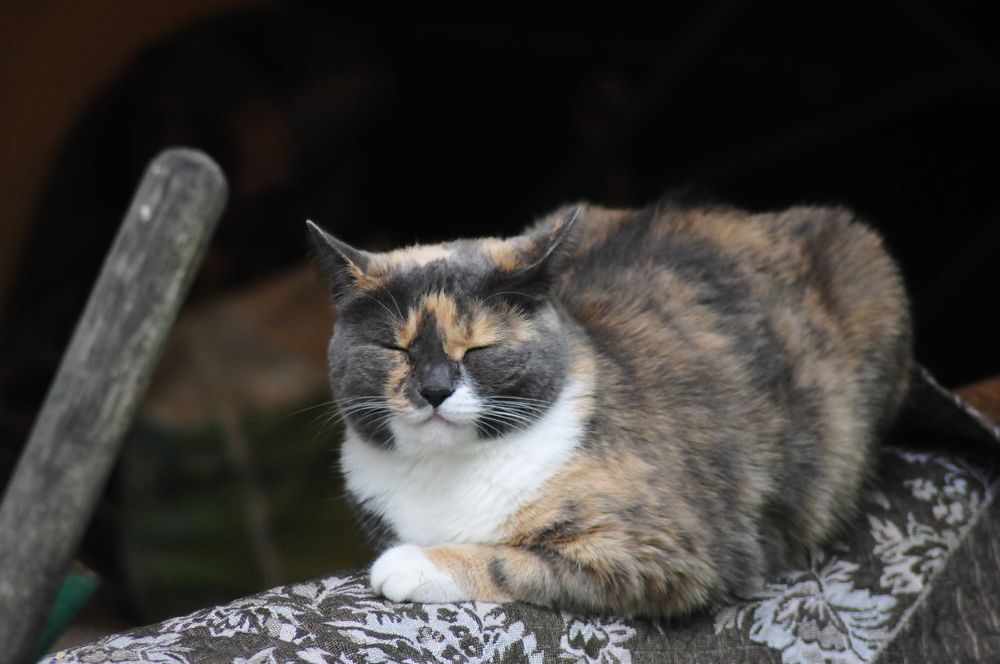 Photograph by Константин