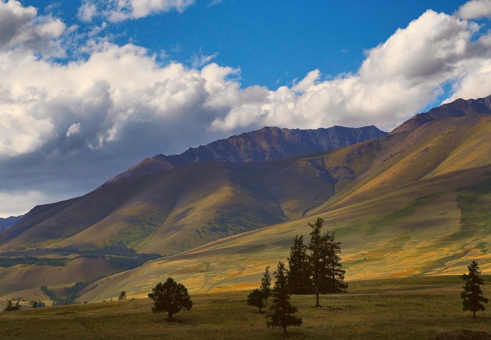 Фотография автора Георгий Муравьёв