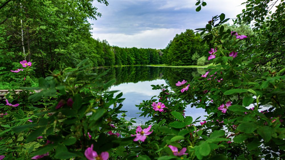 Photograph by Сергей Горбунов