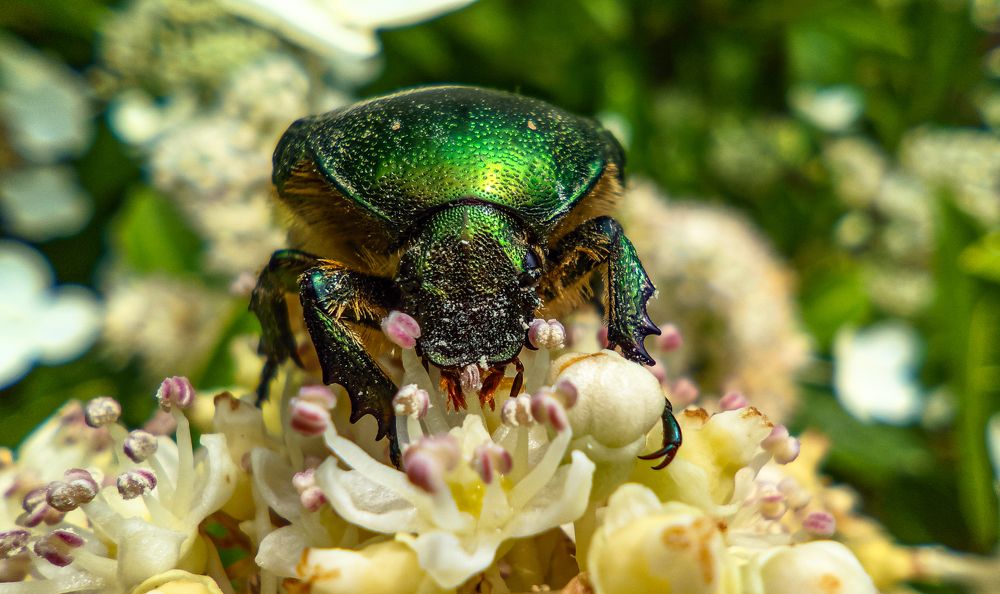 Photograph by Сергей Горбунов