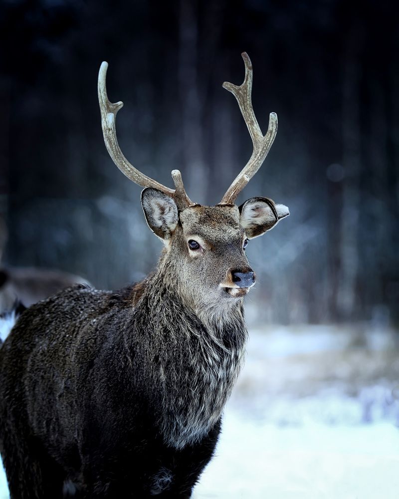 Photograph by Andrej