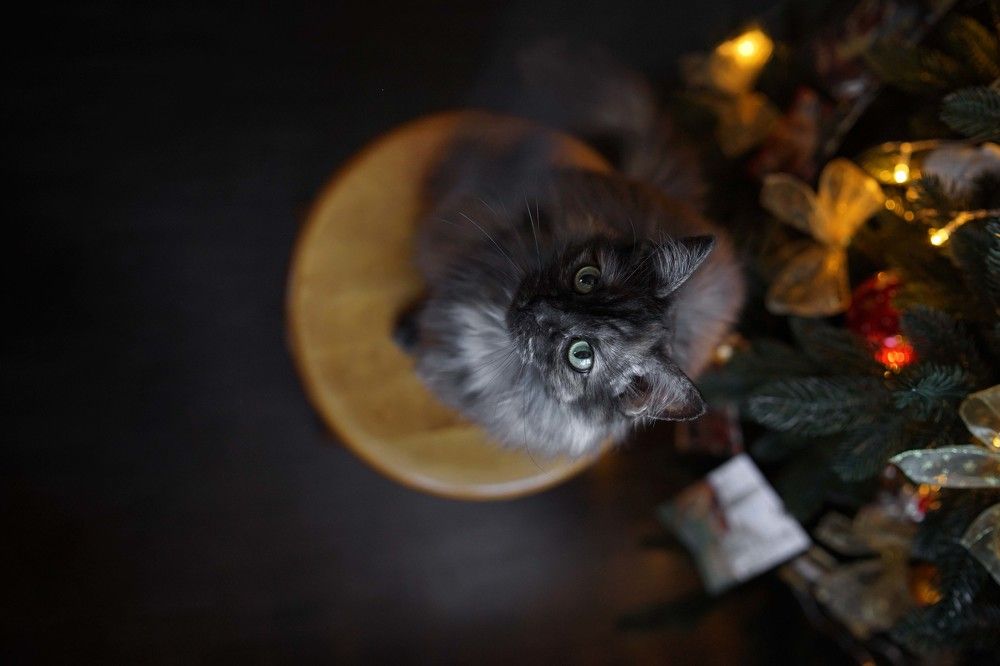 Photograph by Людмила Панюхина