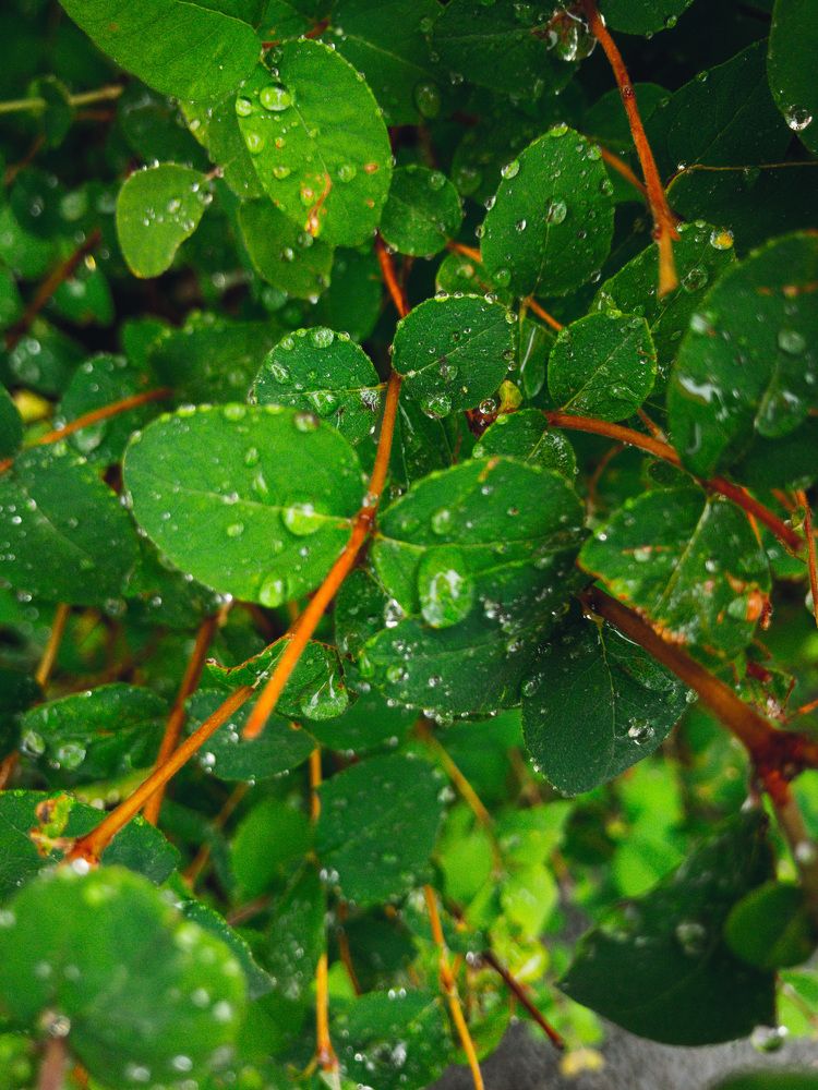 Photograph by Мария Д