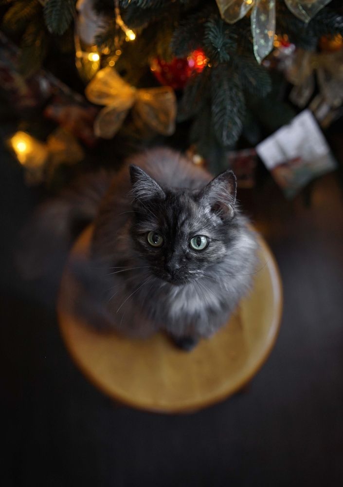 Photograph by Людмила Панюхина