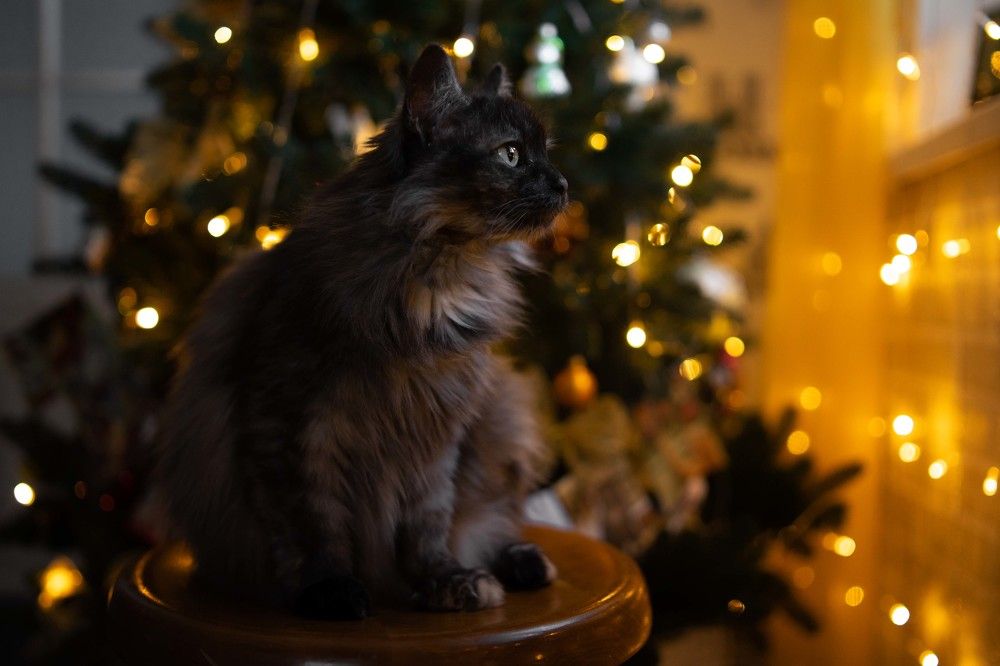 Photograph by Людмила Панюхина