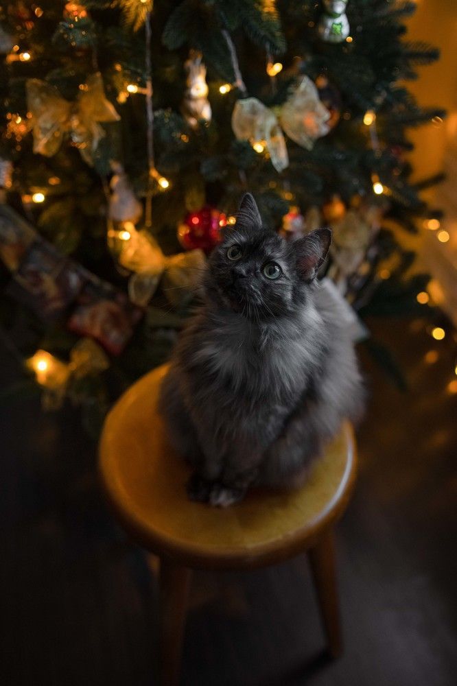 Photograph by Людмила Панюхина