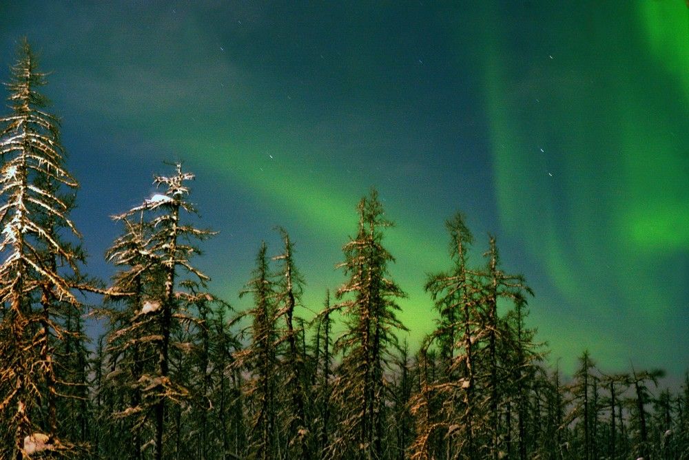 Дыхание севера