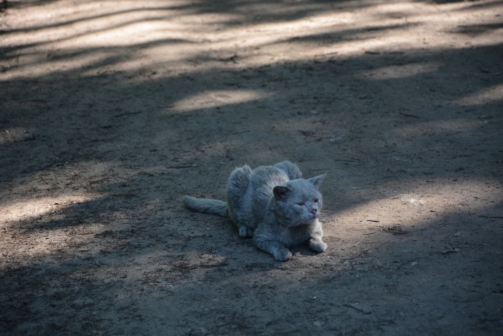 Photograph by Svetlana Nemontova