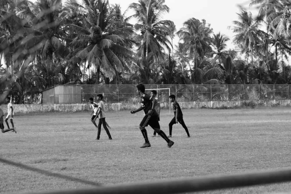 Photograph by Елена Ковалева