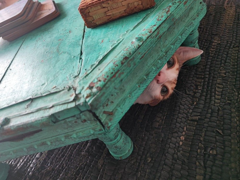 Photograph by Sanjay Danait