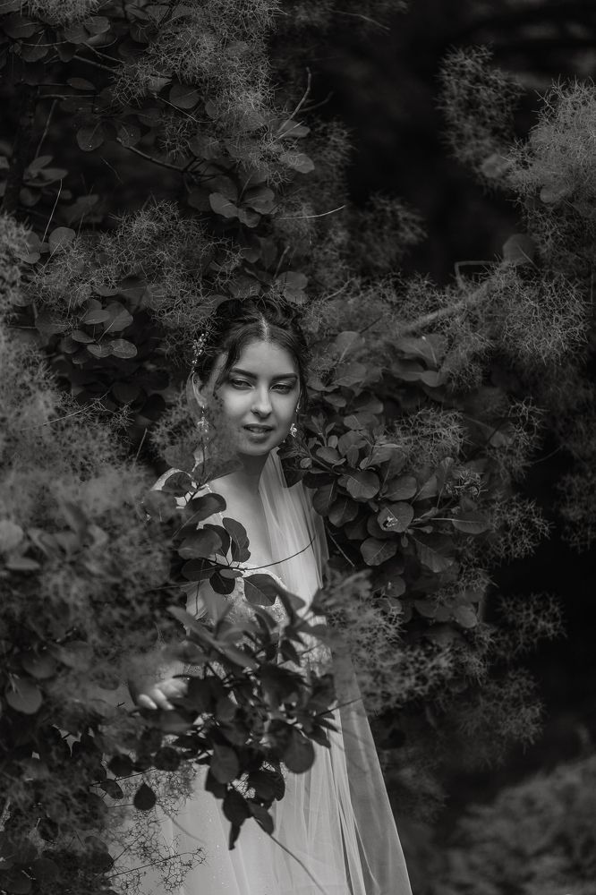 Photograph by Вероника Михайловская