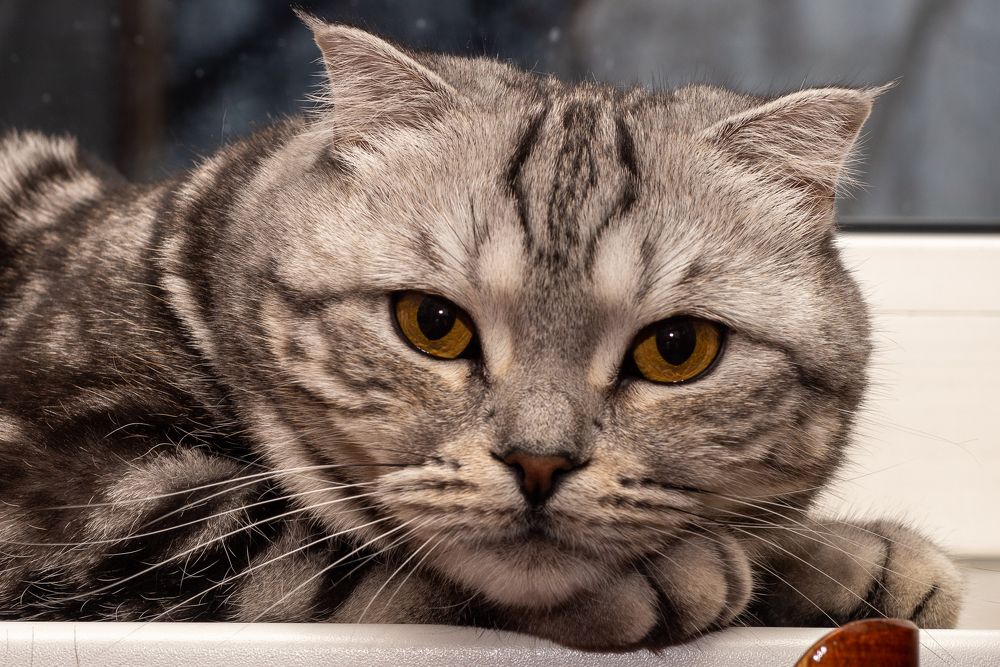 Photograph by Dmitriy Mostovoy