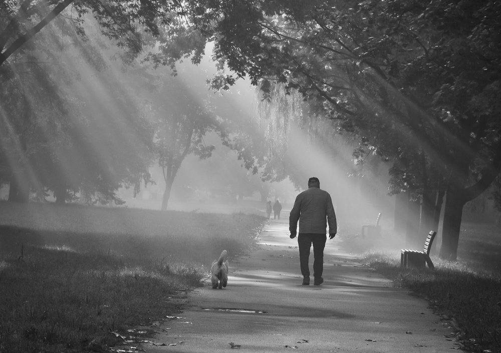 Photograph by Александр Гвоздь