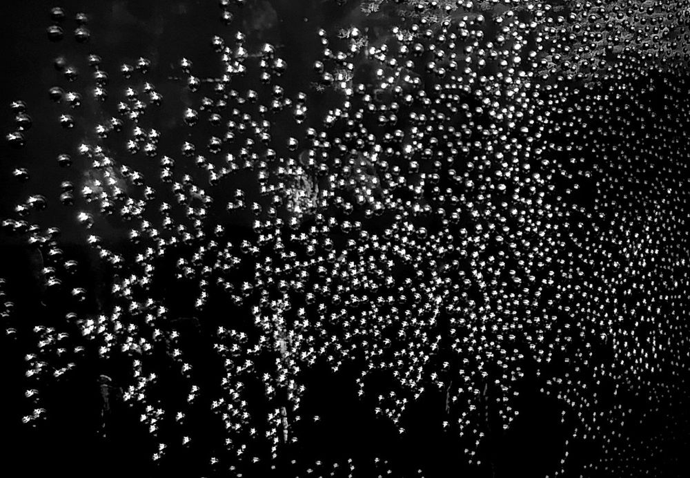 Photograph by Тамара Багровская