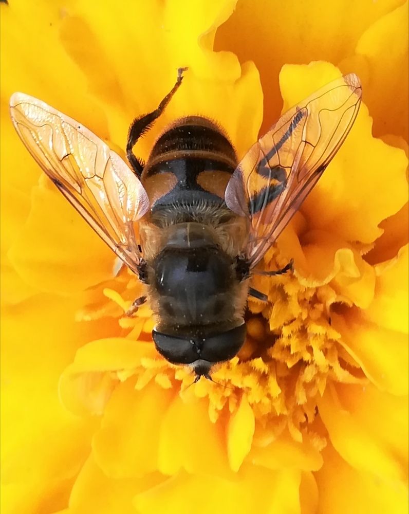 Photograph by Евгения Буркаева